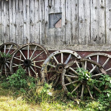 Schwarzwaldidyll Leilighet Todtmoos Eksteriør bilde